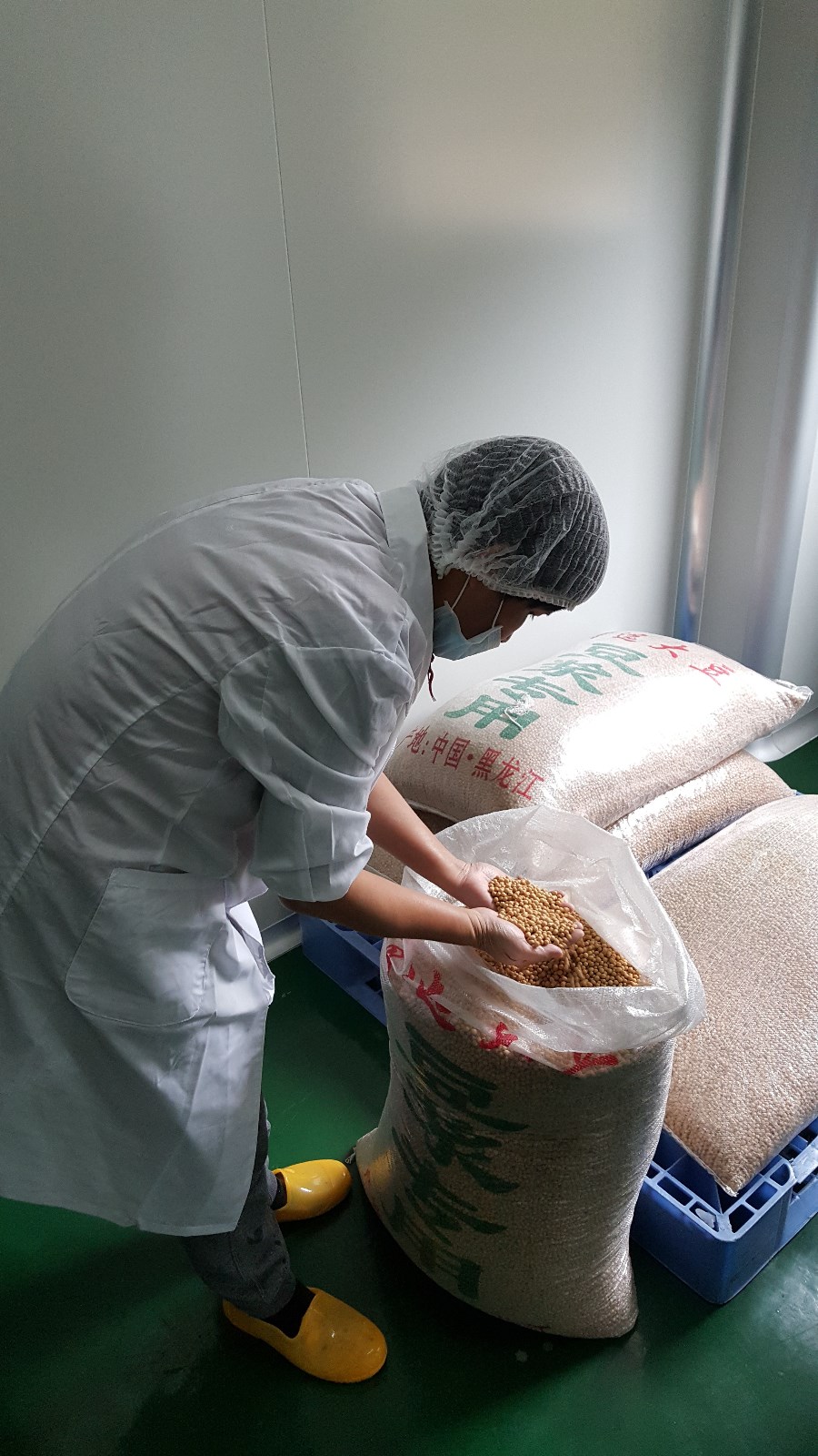 卢玉清在查看黄豆的品质 .jpg