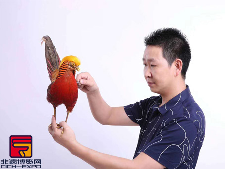 王刚1.jpg